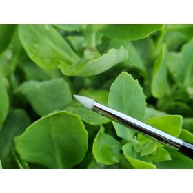 Luxury Nails - Art Pen