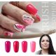Nailgel - Crush  by Sophia gél lakk kollekció 4 db géllakkal és ajándék margarétával