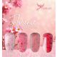 Nailgel - Liquid Polygel - Florance 4 darabos kollekció pumpás tégelyben ajándék margarétával